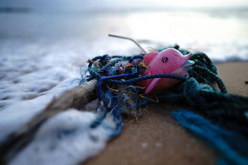 Non degradable plastics cause pollution to the ocean
